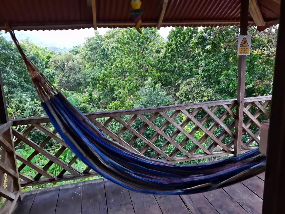 Deep Forest Posadas Ecoturisticas Zaino Eksteriør billede